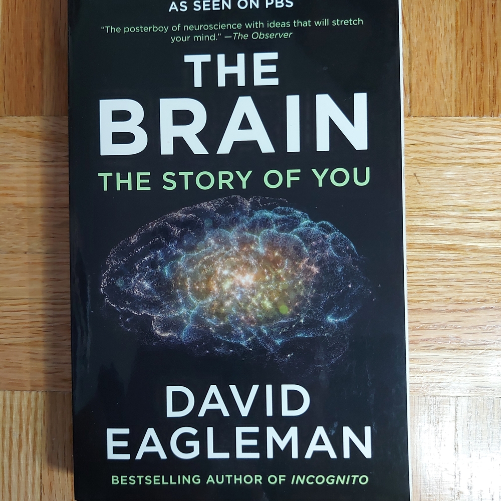 The Brain: The Story of You by David Eagleman
